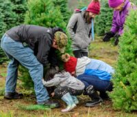 Activités à faire en famille