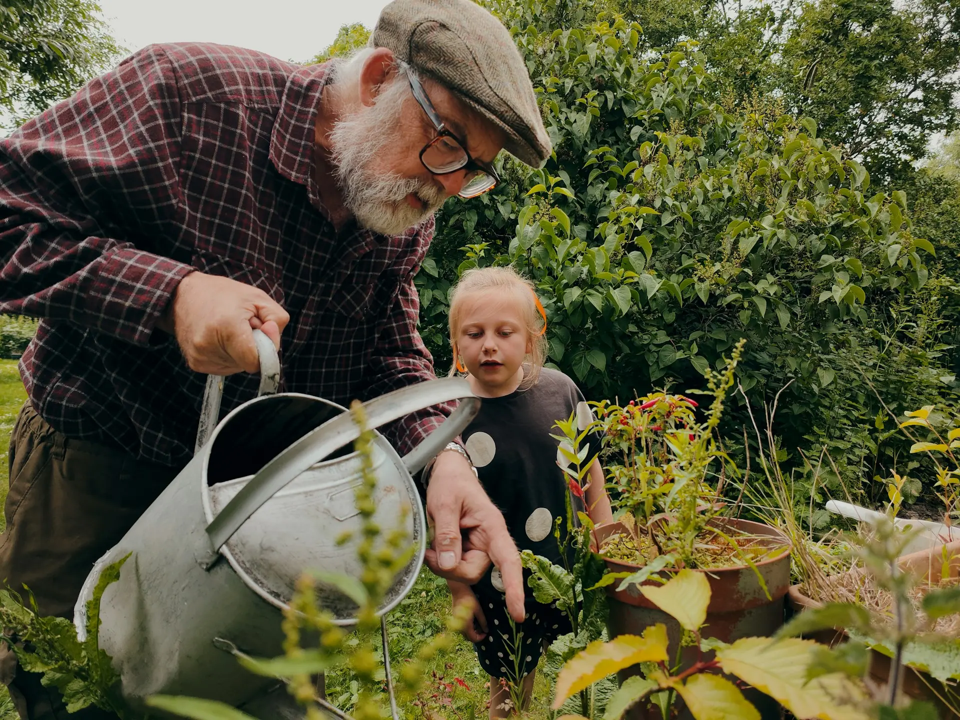 grand-parent arrosant le jardin avec sa petite-fille